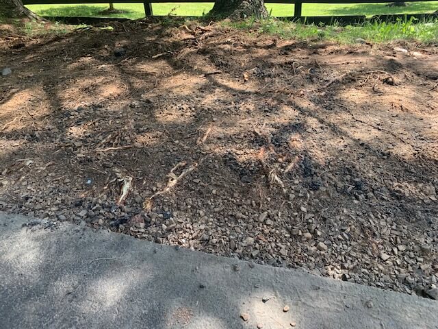 asphalt driveway damage